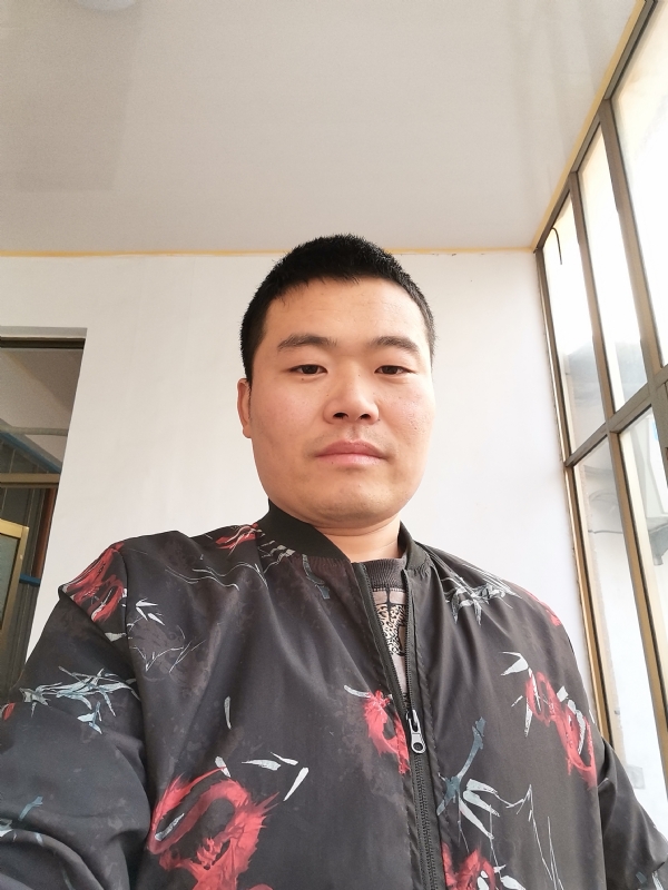 会飞的猪的第一张照片--山东上门女婿服务网
